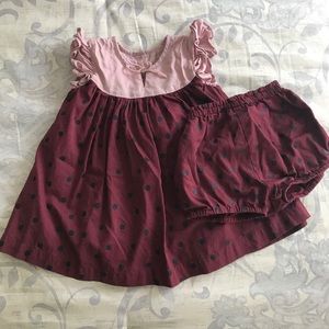 Peek Baby Polka Dot Dress Size 12-18 mos